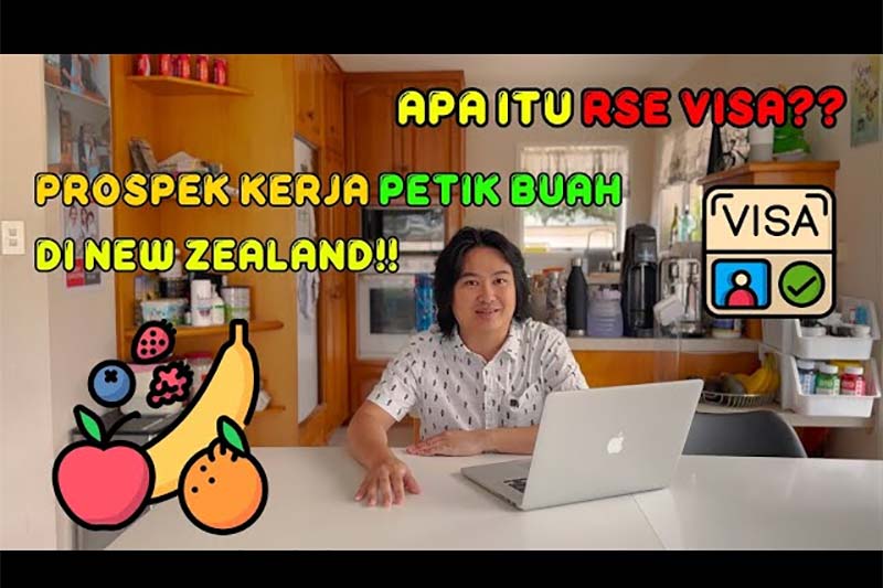 Cara Membuat Visa RSE Selandia Baru dan Pekerjaan Memetik Buah di Selandia Baru